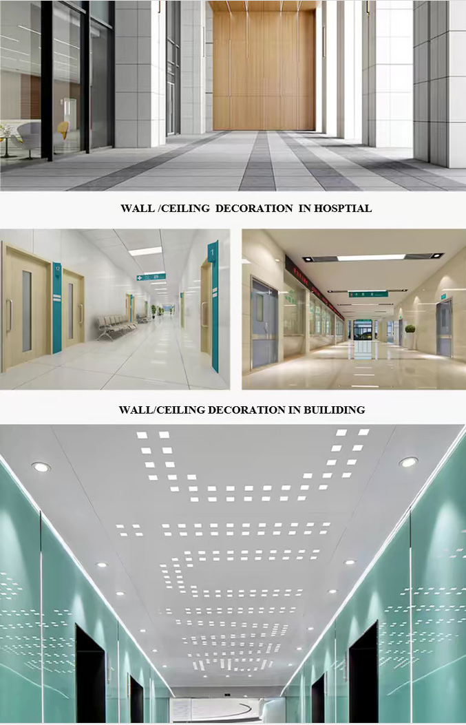 Secure Cladding Customizable Aluminum 3D Panel for High-Security Cladding & Decoration