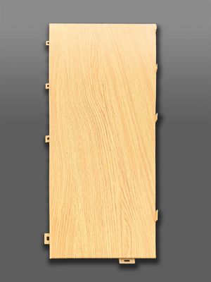 Aluminum Facade Wall Craftsmanship Aluminum Veneer Elevating Architectural Aesthetics Decortor Durable